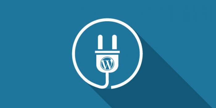 5 Plugin WordPress untuk Mempercepat Website Anda